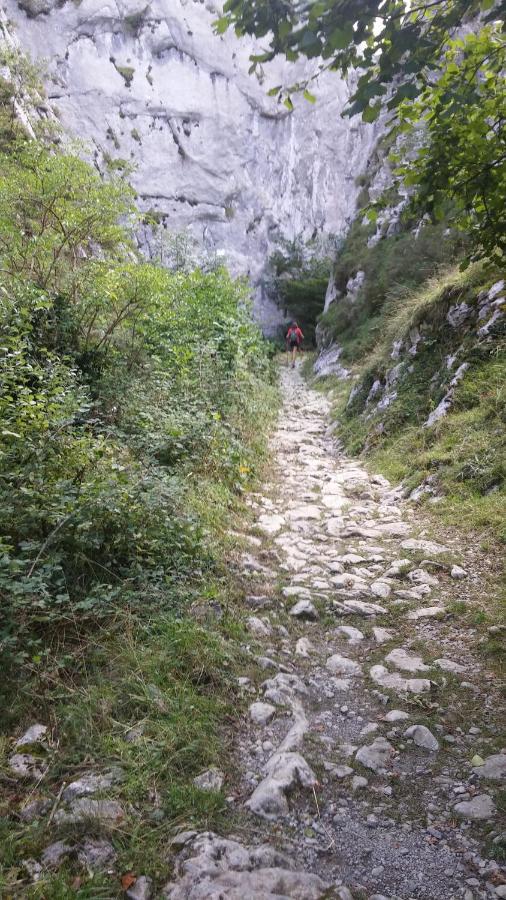Apto. De Montana La Campa En Felechosa