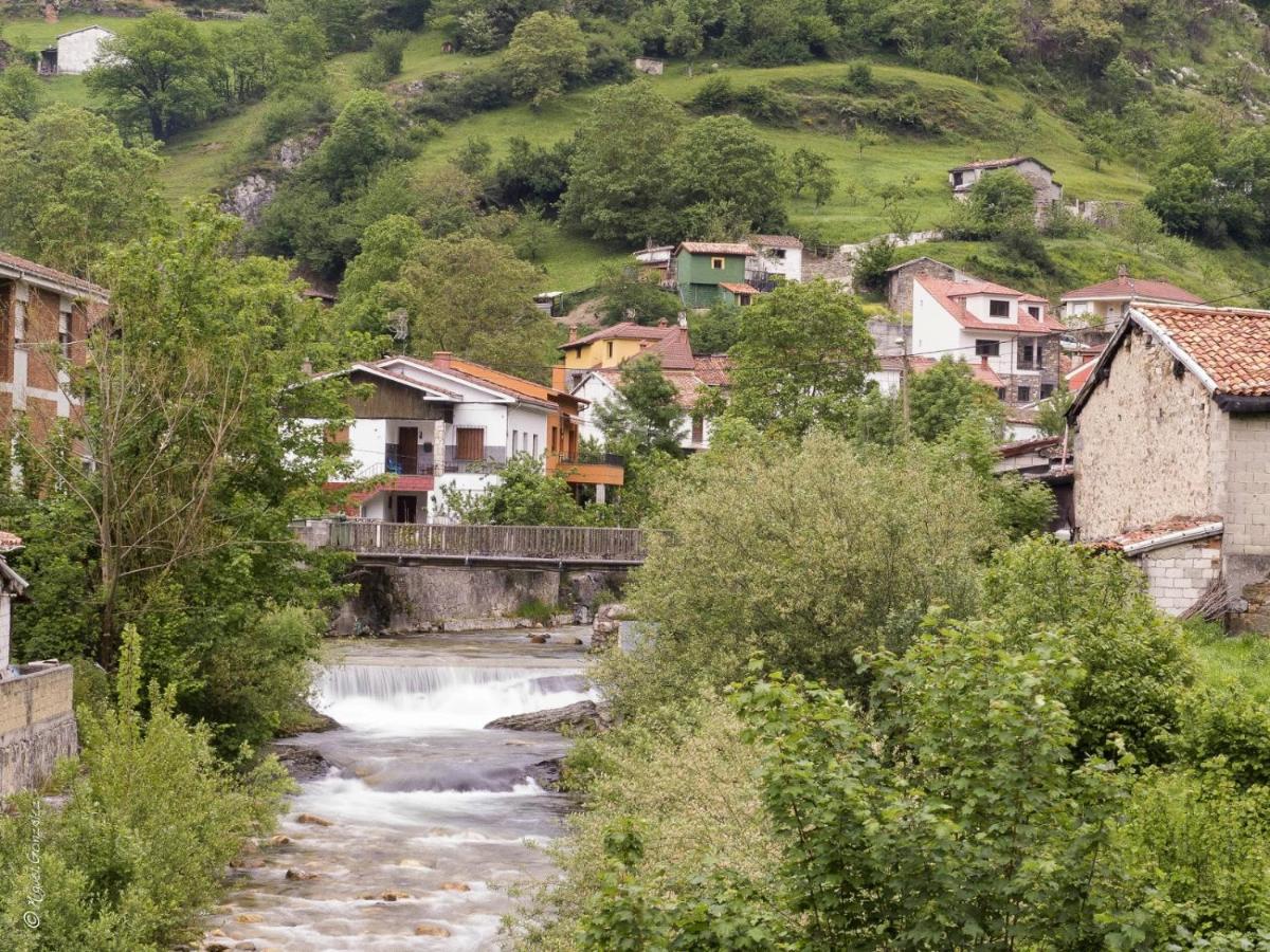 Apto. De Montana La Campa En * Felechosa